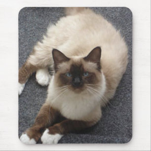 Birman美しい猫 マウスパッド
