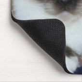 birman 2.png マウスパッド (コーナー)