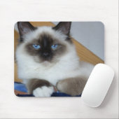 birman 2.png マウスパッド (マウス)