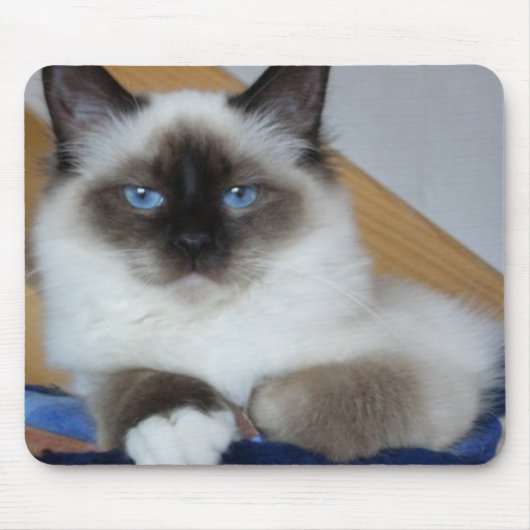 birman 2.png マウスパッド (正面)