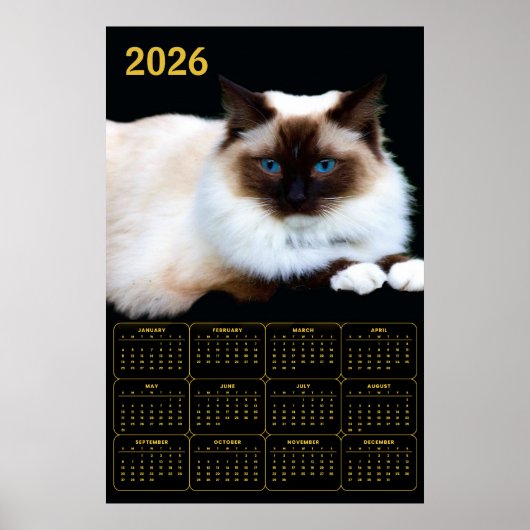 Birman Cat 2026 Calendar ポスター (正面)