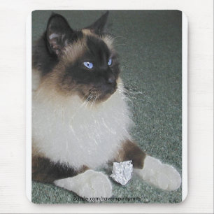 BIRMAN - RAGDOLL CATマウスパッド マウスパッド