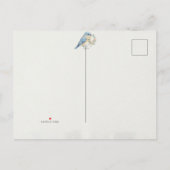 Birth Announcement Postcard 案内ポストカード (裏面)