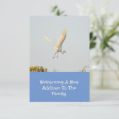 Birth Announcement With Flying Stork. 出欠カード (スタンド正面)