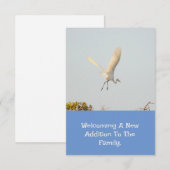 Birth Announcement With Flying Stork. 出欠カード (正面/裏面)