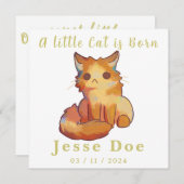 Birth Boy and Girl card, little cat (正面/裏面)