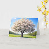 Birthday Apple Tree in Springtime カード (黄色い花)