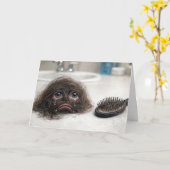 Birthday Baldness Humor カード (黄色い花)