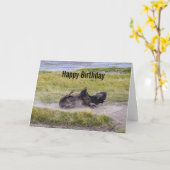 Birthday Bison Wallowing Yellowstone National Park カード (黄色い花)