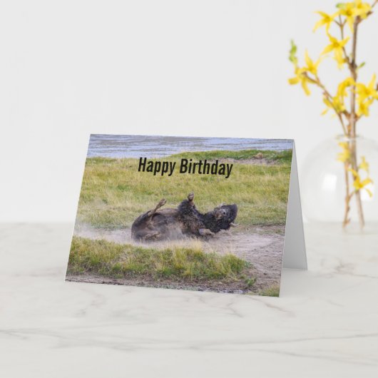 Birthday Bison Wallowing Yellowstone National Park カード (黄色い花)