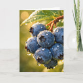 Birthday Blueberries with Raindrops カード (正面)