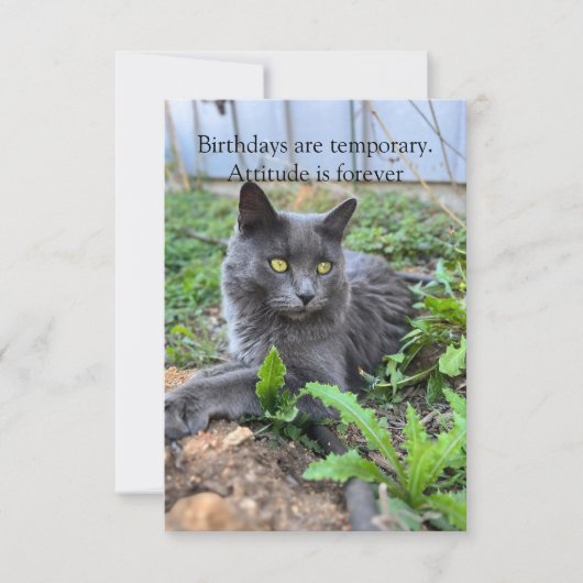 birthday card (正面)