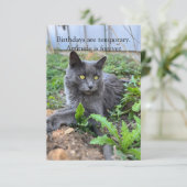 birthday card (スタンド正面)