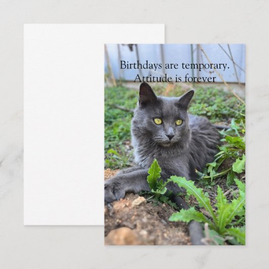 birthday card (正面/裏面)