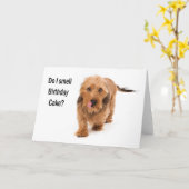 birthday card Dachshund dog smelling birthday cake カード (黄色い花)