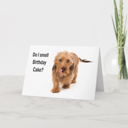 birthday card Dachshund dog smelling birthday cake カード (正面)
