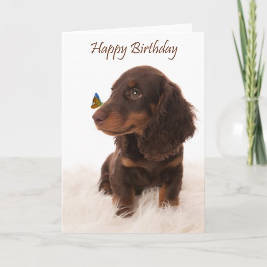 Birthday card dog with butterfly on nose カード (正面)