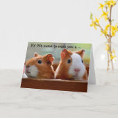 Birthday Card: Two Guinea Pigs カード (黄色い花)