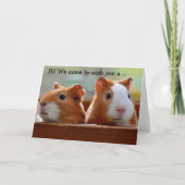 Birthday Card: Two Guinea Pigs カード (正面)