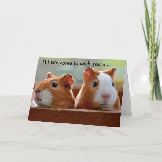 Birthday Card: Two Guinea Pigs カード (正面)