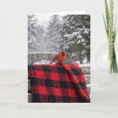 Birthday Cardinal On a Buffalo Plaid Blanket カード (正面)