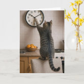 Birthday Cat for Getting Older Humor カード (黄色い花)