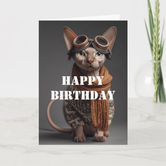 Birthday Cat Pilot Aviator Cool Funny Aviation カード (正面)