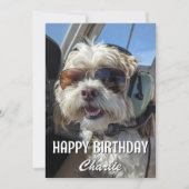 Birthday Dog Pilot Aviator Sunglasses Plane Funny カード (正面)