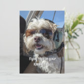 Birthday Dog Pilot Aviator Sunglasses Plane Funny カード (スタンド正面)