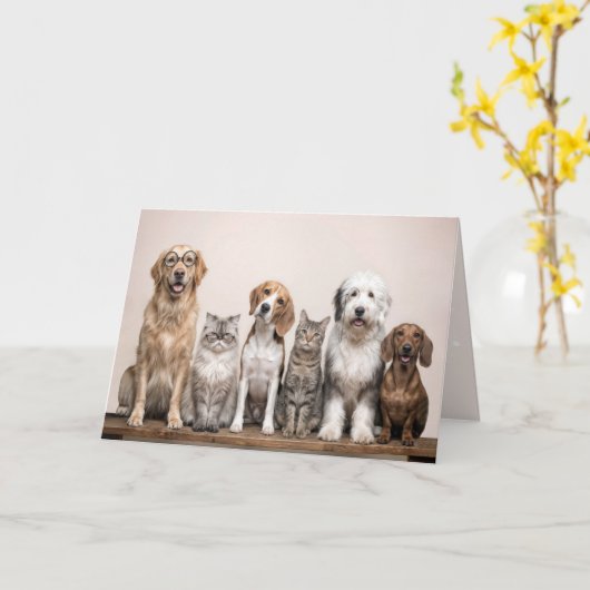 Birthday Dogs and Cats  カード (黄色い花)