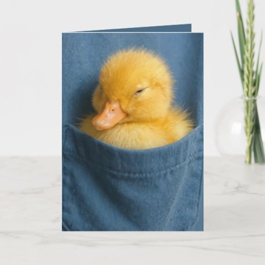 Birthday Duckling In a Blue T-shirt Pocket カード (正面)