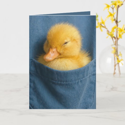 Birthday Duckling In a Blue T-shirt Pocket カード (黄色い花)