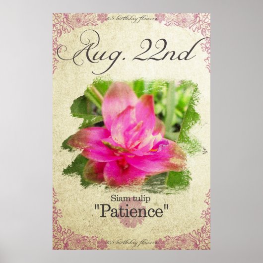 Birthday flowers on August 22nd "Siam tulip" ポスター (正面)