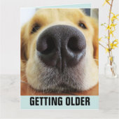 BIRTHDAY FUNNY GETTING OLDER DOG GREETING CARD カード (黄色い花)
