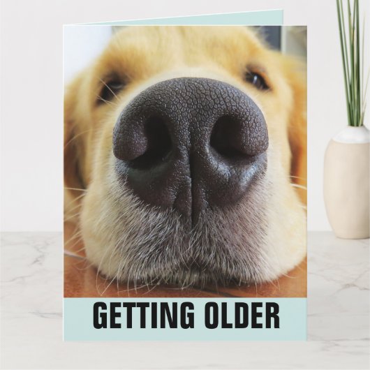 BIRTHDAY FUNNY GETTING OLDER DOG GREETING CARD カード (正面)