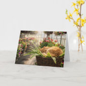 Birthday Ginger Cat Napping in Hanging Fern Basket カード (黄色い花)