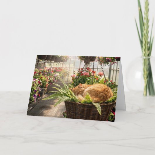 Birthday Ginger Cat Napping in Hanging Fern Basket カード (正面)