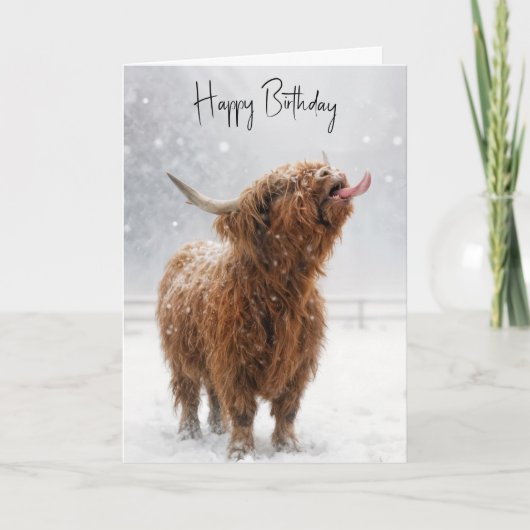 Birthday Highland Cow Licking Snowflakes カード (正面)