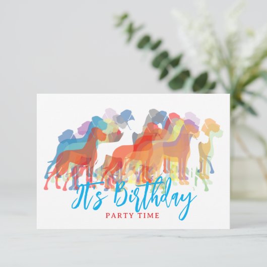 Birthday Party invites Great Dane  (スタンド正面)