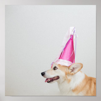 Birthday Pembroke Welsh Corgi Dog ポスター