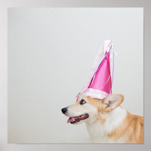 Birthday Pembroke Welsh Corgi Dog ポスター (正面)