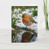 Birthday Robin with Snowdrops カード (正面)