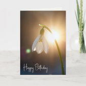 Birthday Snowdrop with Dewdrops in Sunlight カード (正面)