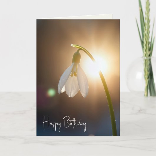 Birthday Snowdrop with Dewdrops in Sunlight カード (正面)