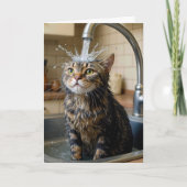 Birthday Tabby Cat Under a Kitchen Faucet カード (正面)