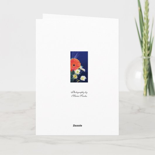 Birthday yellow rose カード (裏面)