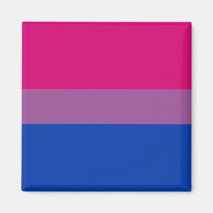 Bisexual Flag & Pride community /gender flag Magne マグネット