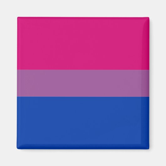 Bisexual Flag & Pride community /gender flag Magne マグネット (正面)