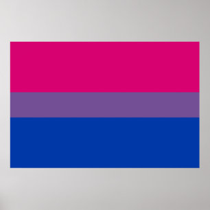 Bisexual Pride Flag ポスター
