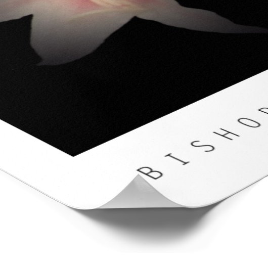 Bishop写真 ポスター (角)